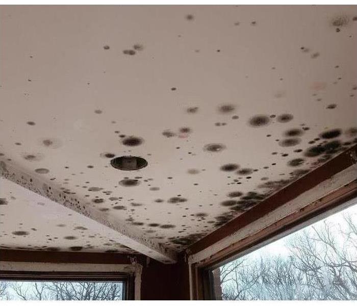 A ceiling full of mold